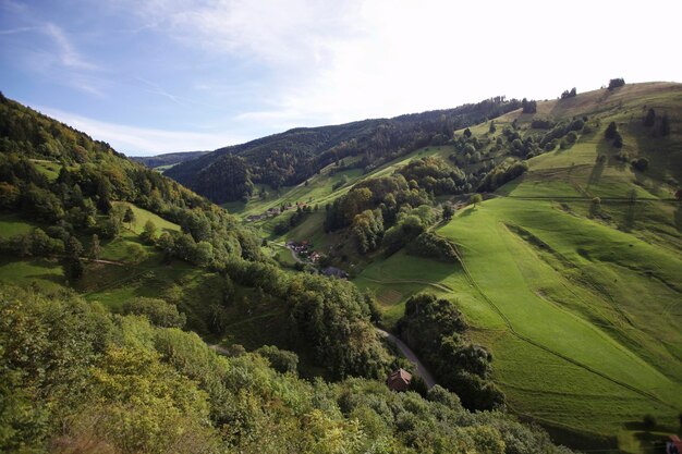 Paisaje cerca de Wieden en el sur de la Selva Negra, Baden-Württemberg, Alemania