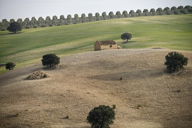 Foto paisaje cerealístico del geoparque de granada