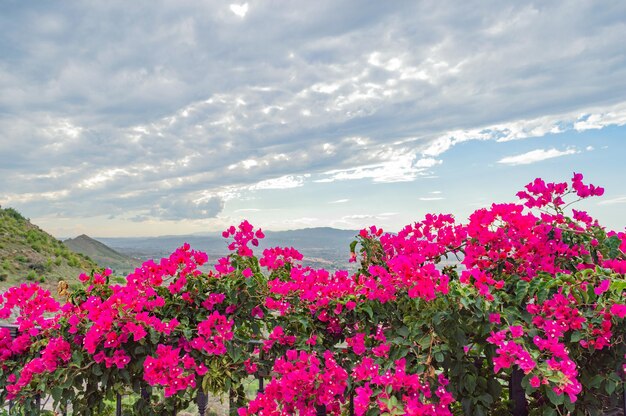 Paisaje con cielo azul y nubes Mojacar