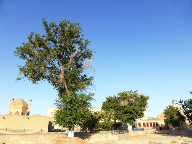 Paisaje en la ciudad de Bukhara