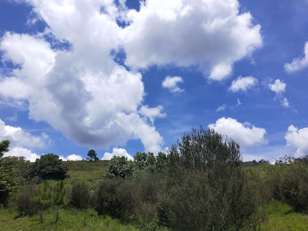 Paisaje de colinas verdes y cielo azul con nubes blancas Indonesia