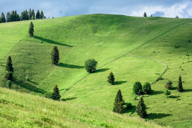 Paisaje de colinas verdes frescas en las montañas de los Cárpatos en un día soleado de primavera.