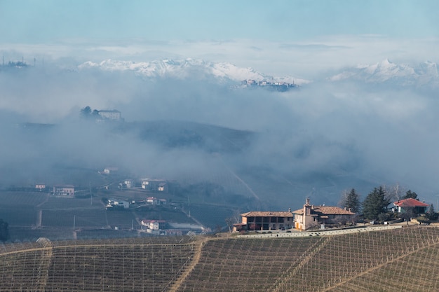 Paisaje de colinas con viñedos con niebla y montañas nevadas