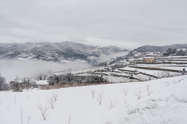 Paisaje completamente blanco cubierto de nieve y niebla en el norte de Italia.