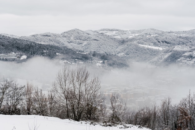 Paisaje completamente blanco cubierto de nieve y niebla en el norte de Italia.