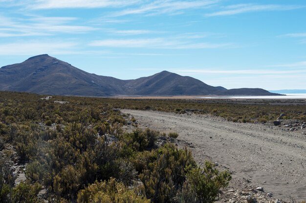 Foto paisaje compuesto por montañas, matorrales y carreteras cerca del desierto de sal en uyuni, bolivia