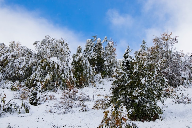 El paisaje de la cordillera de los inviernos y la vista, la nieve y el hielo en la gama Egrisi, Georgia