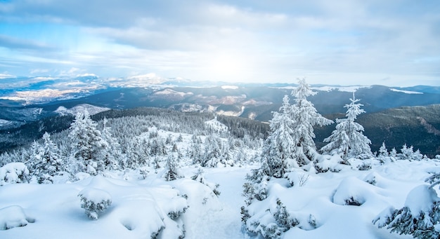 Foto paisaje de cordillera nevada bajo el sol de invierno