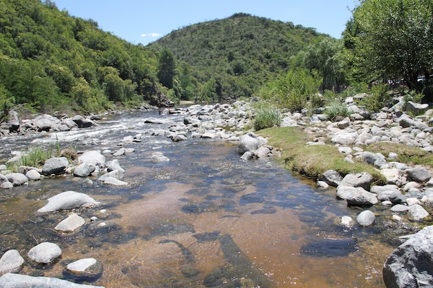 paisaje de la corriente de la montaña en verano