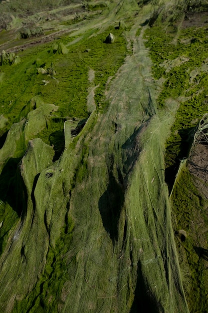 paisaje cósmico de lodo resultante después de la marea baja del nivel del agua