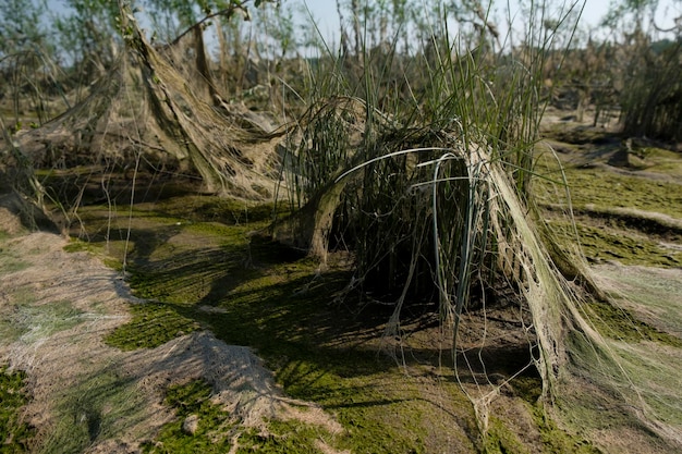 paisaje cósmico de lodo resultante después de la marea baja del nivel del agua