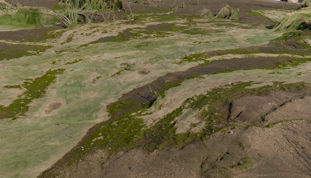 paisaje cósmico de lodo resultante después de la marea baja del nivel del agua