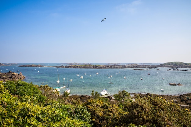 Paisaje de la costa y de los acantilados de la isla de Chausey en Bretaña, Francia