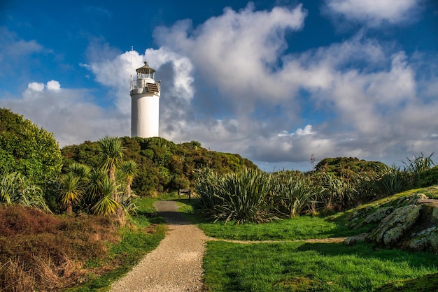 Paisaje costero del faro de Cape Foulwind