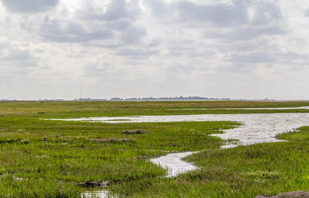 paisaje costero en la Frisia Oriental