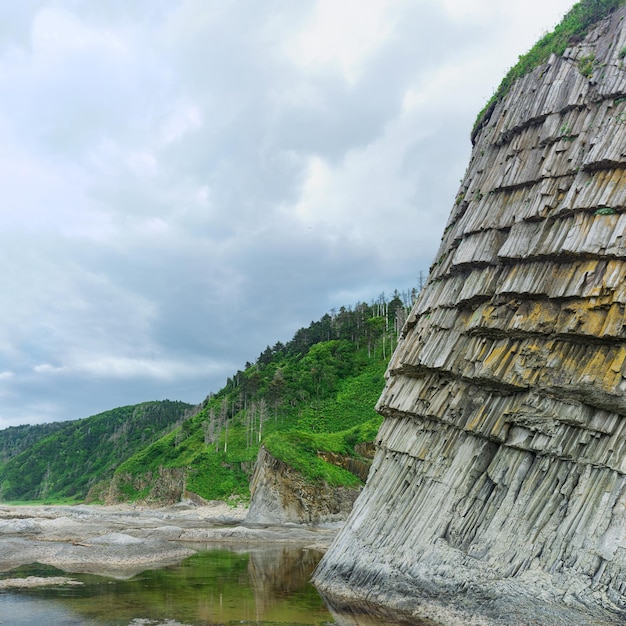 Paisaje costero hermoso acantilado columnar de basalto en la costa boscosa de la isla de Kunashir