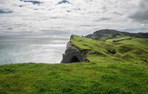 Paisaje costero con verdes colinas y acantilados rodados en Cape Farewell Nueva Zelanda