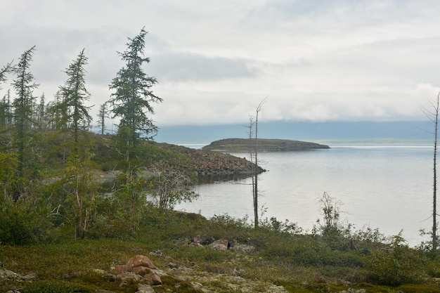 Paisaje crepuscular del lago del norte