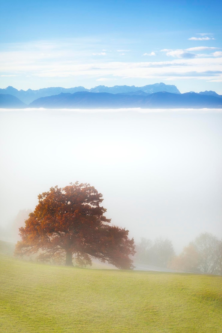Foto paisaje cubierto de niebla con los alpes al fondo
