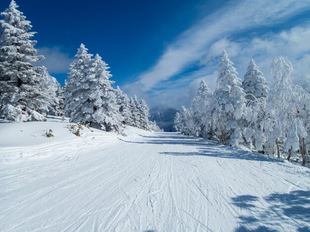 Foto paisaje cubierto de nieve contra el cielo