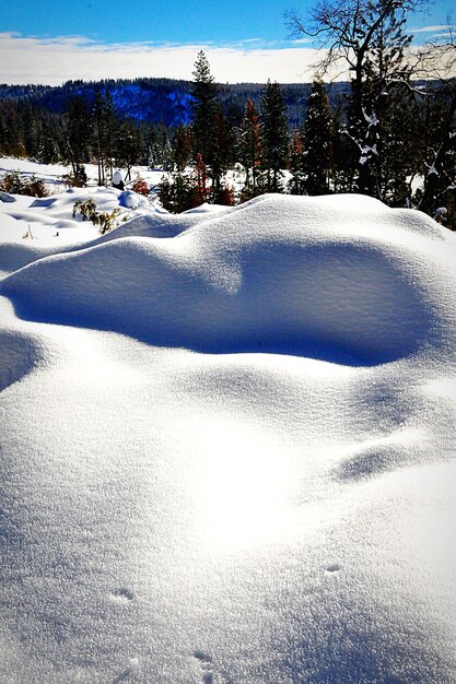 Foto paisaje cubierto de nieve