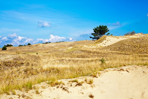 Paisaje en el Curonian Spit