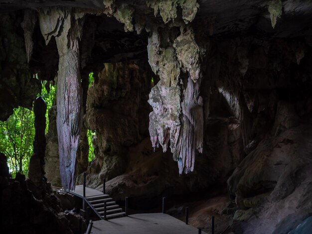 Paisaje dentro de la cueva antigua