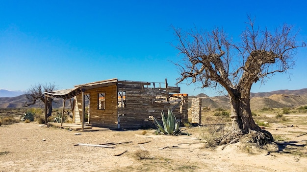 paisaje desértico con cabaña de madera y árbol seco