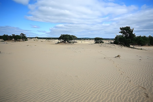 paisaje desértico / desierto de arena, nadie, paisaje de dunas