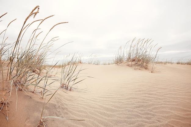 paisaje desértico / desierto de arena, nadie, paisaje de dunas