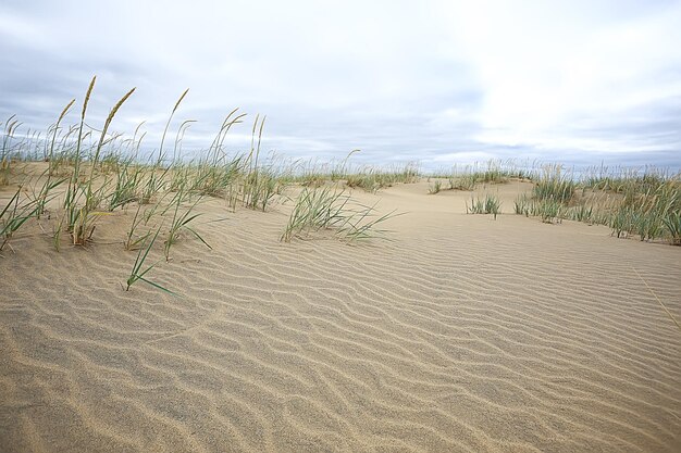 paisaje desértico / desierto de arena, nadie, paisaje de dunas