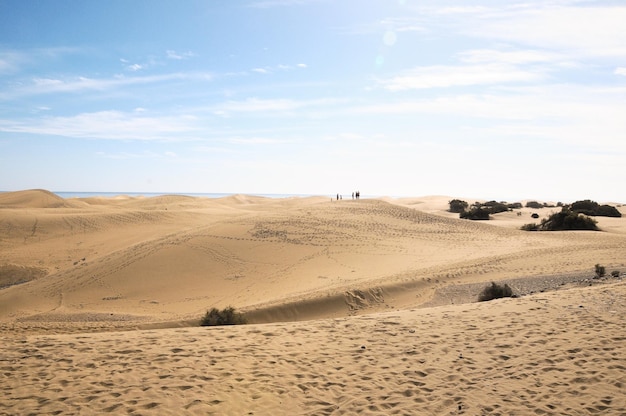 Paisaje desértico de dunas de arena europeas africanas en la isla de Gran Canaria España