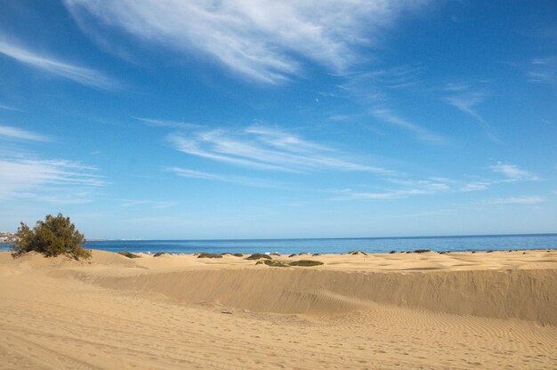 Paisaje desértico de dunas de arena europeas africanas en la isla de Gran Canaria España