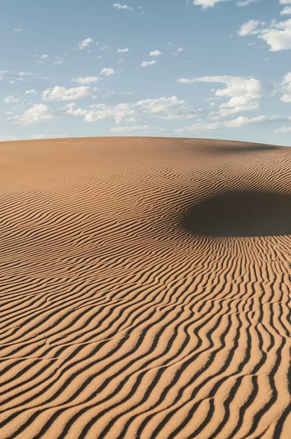 Un paisaje desértico con dunas de arena y ondas en la superficie.