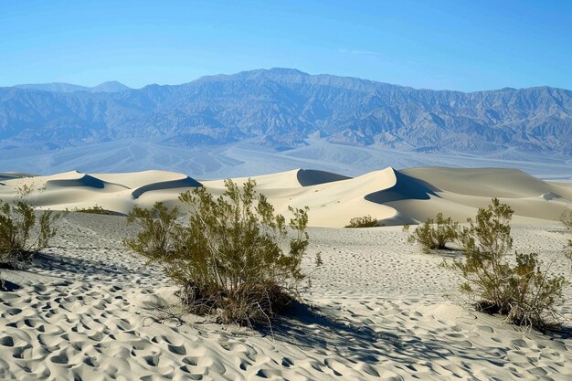 paisaje desértico con dunas de arena en primer plano y montañas en el horizonte