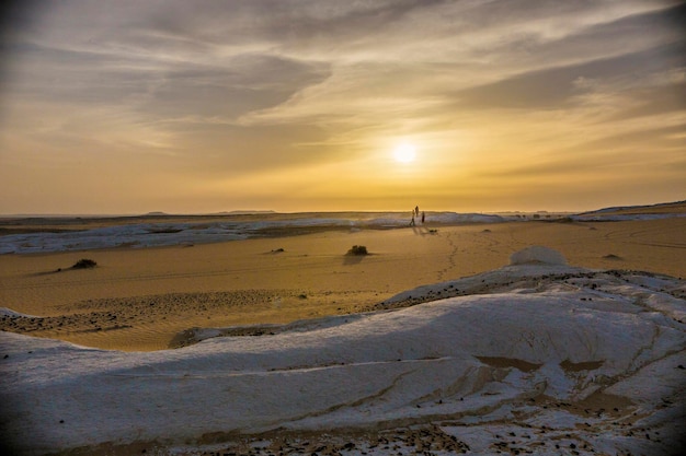 Paisaje desértico en Egipto. Desierto blanco en Egipto (Farafra). Piedras blancas y arenas amarillas