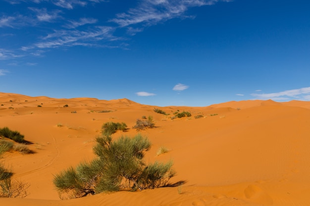 Paisaje desértico, marruecos.