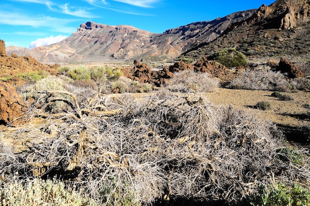 Paisaje desértico en el Parque Nacional Volcán Teide, Tenerife, Islas Canarias, España