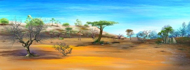 Paisaje desértico de sabana africana