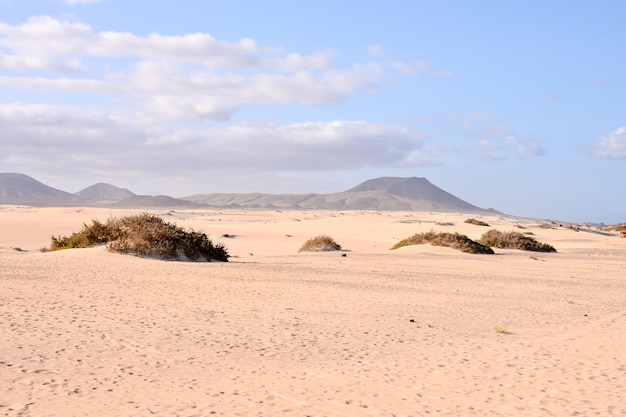 Paisaje desértico seco