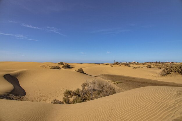 Paisaje desértico de verano en un cálido día soleado desde las dunas de Maspalomas en la isla española de Gran Canaria