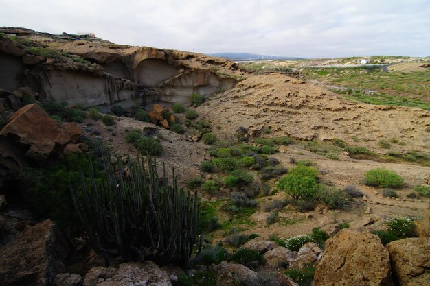 Paisaje del desierto de arena y rocas al atardecer