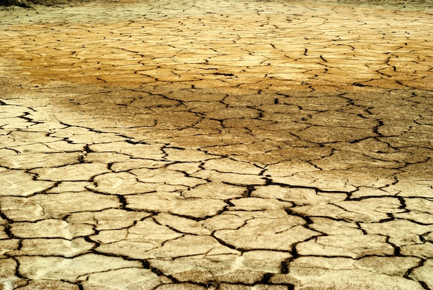 Paisaje - desierto con patrón de grietas de diferentes tamaños en arcilla seca