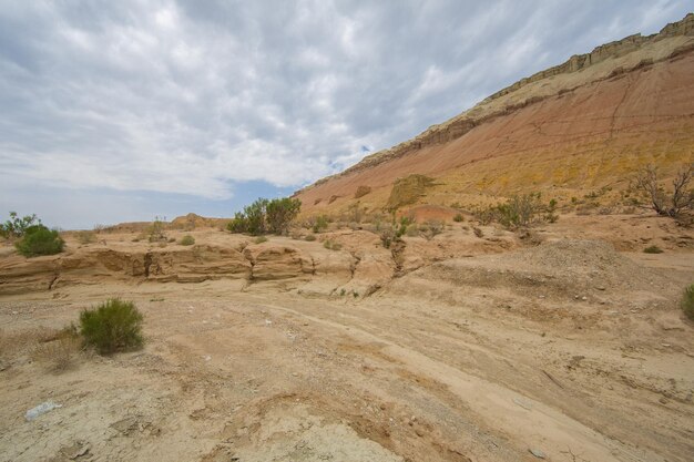 el paisaje de un desierto de piedra con colinas