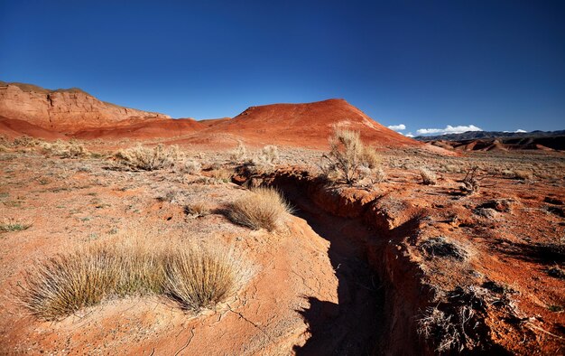 Paisaje del desierto rojo