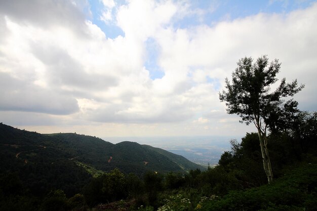 Paisaje en un día nublado