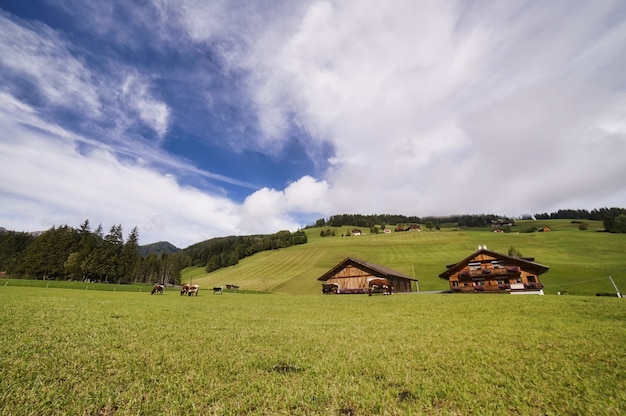 Foto paisaje de dolomitesm, italia