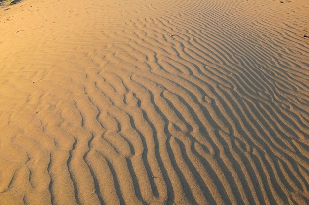 Paisaje dunar La Pampa Argentina