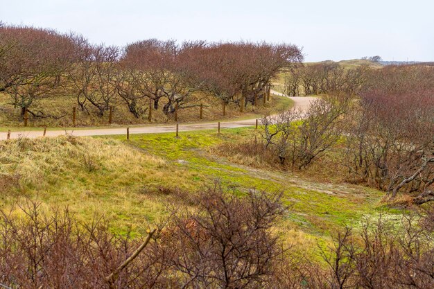 paisaje de dunas costeras