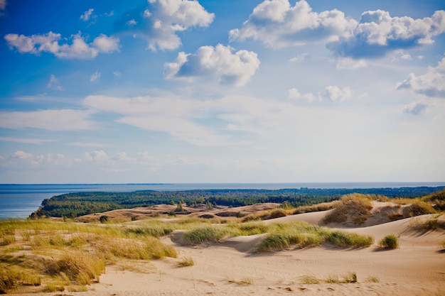 Paisaje con dunas grises en Lituania